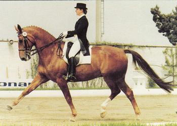 1995 Collect-A-Card Equestrian #181 Anna Merveldt-Steffens / Rapallo 16 Front